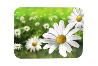 Karikakardega lauamatt 30x40 cm, plastikust vms materjalist, 1 tk