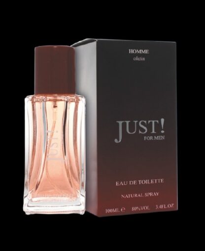 Meeste lõhn Just for men 100 ml