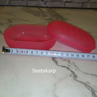 Roosa seebikarp