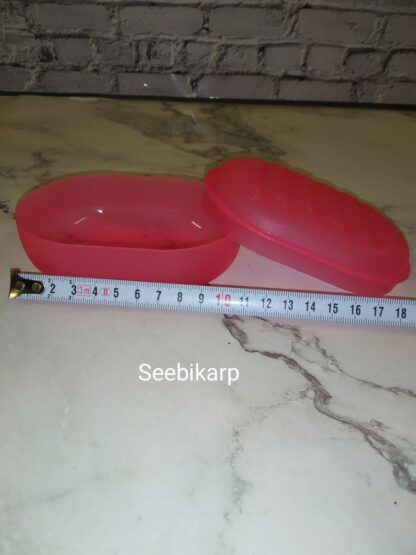 Roosa seebikarp