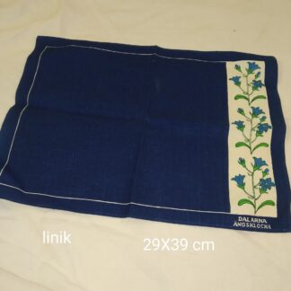 Sinine linik, 29x39 cm