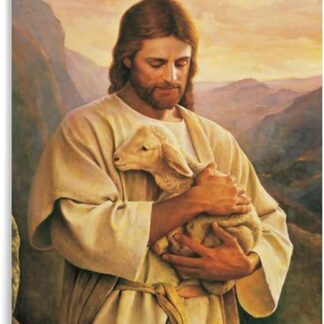 Numbrite järgi maalimise komplekt 40x50 cm koos värvidega Jeesus
