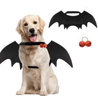 Halloweeni kostüüm kassile/koerale (M)
