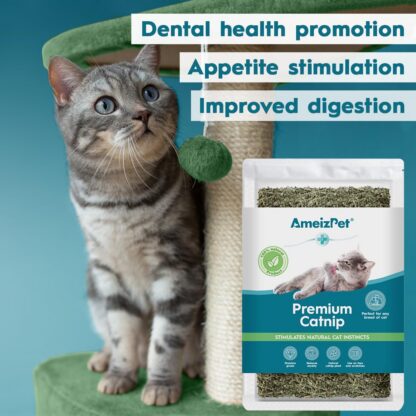 Palderjan, catnip puru kassidele 25 g - Image 3