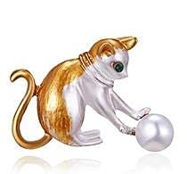 Kassi ja pärliga pross