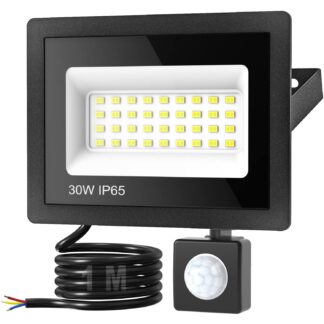 Liikumisanduriga LED-lamp 300W 3000LM, 6500K